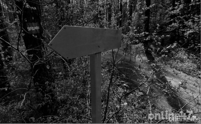 Природа под защитой: как в Ленобласти развивается система особо охраняемых природных территорий