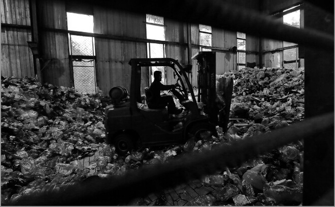 Раздельный сбор мусора в Ленобласти вырос на 3%