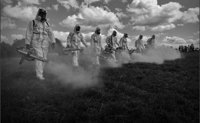 С 1 марта владельцев участков в Ленобласти начнут штрафовать за борщевик на сумму до 700 тысяч