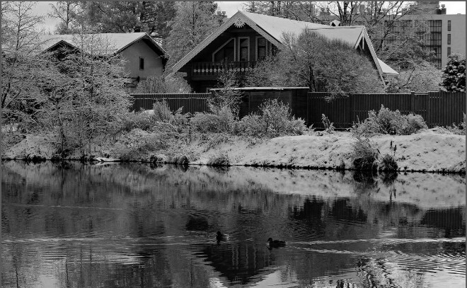 Дачный сезон по закону: за что могут оштрафовать владельцев участков в 2026 году